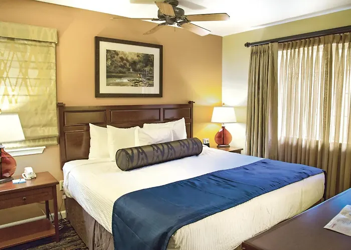 Wyndham 1br With Access Holiday home